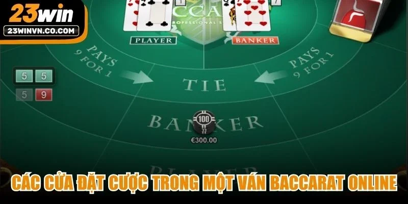 Các cửa đặt cược trong một ván Baccarat online