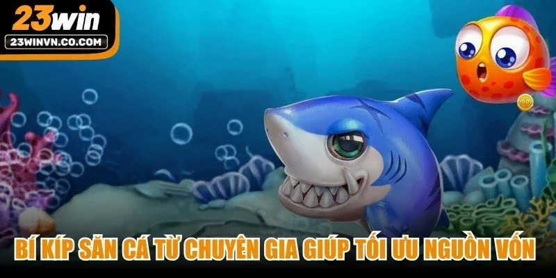 Bí kíp săn cá từ chuyên gia giúp tối ưu nguồn vốn cho các ngư thủ