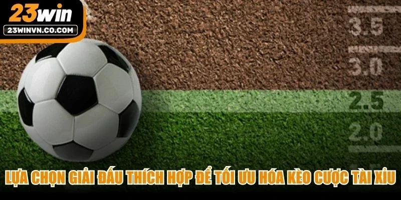 Lựa chọn giải đấu thích hợp để tối ưu hóa kèo cược tài xỉu